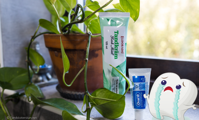 Tandkräm som ger problem i munnen. Oral-B Pro Expert och Eldorado Tandkräm Fresh Mint.