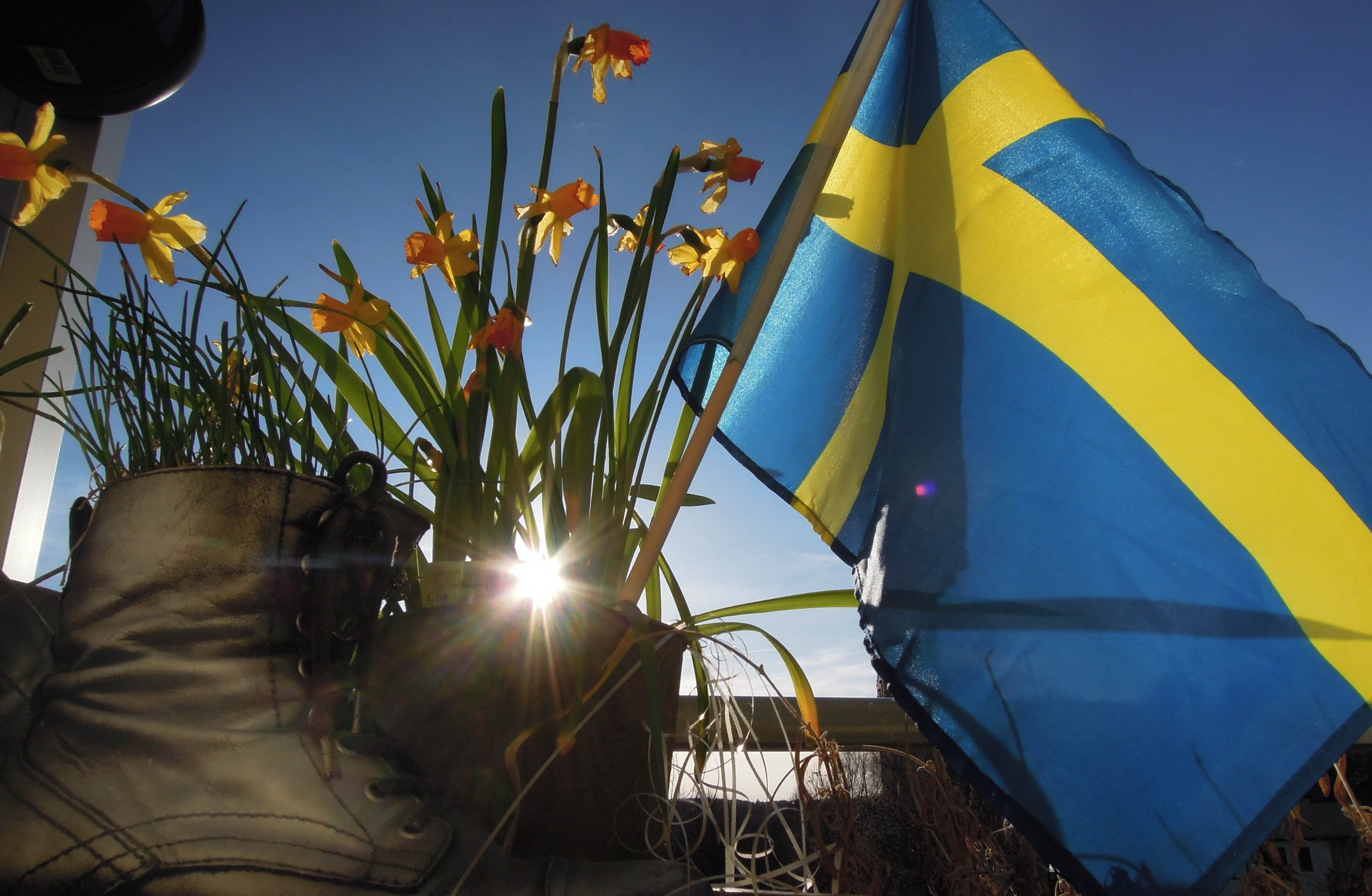 Sverigeflagga på balkong