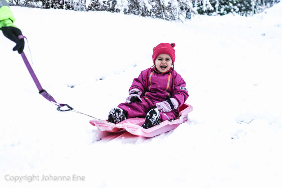 Vinter Copyright Johanna Ene 2017