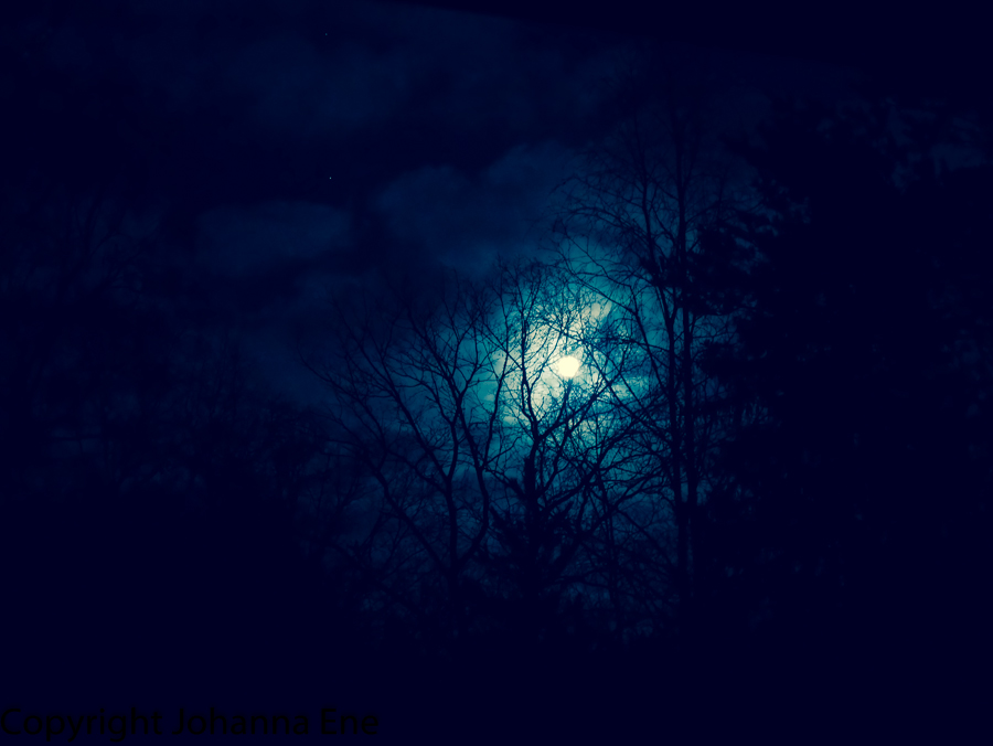 Måne Foto Johanna Ene