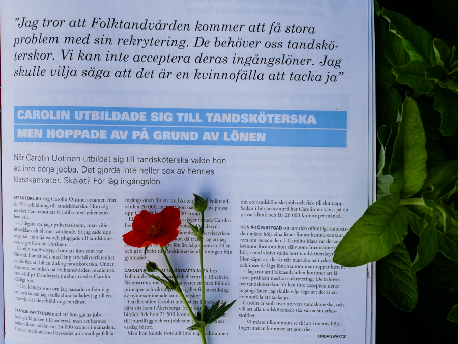 Svenska Tandsköterskeförbundets tidning Tandsköterskan nr 2 2018. Tema lön.
