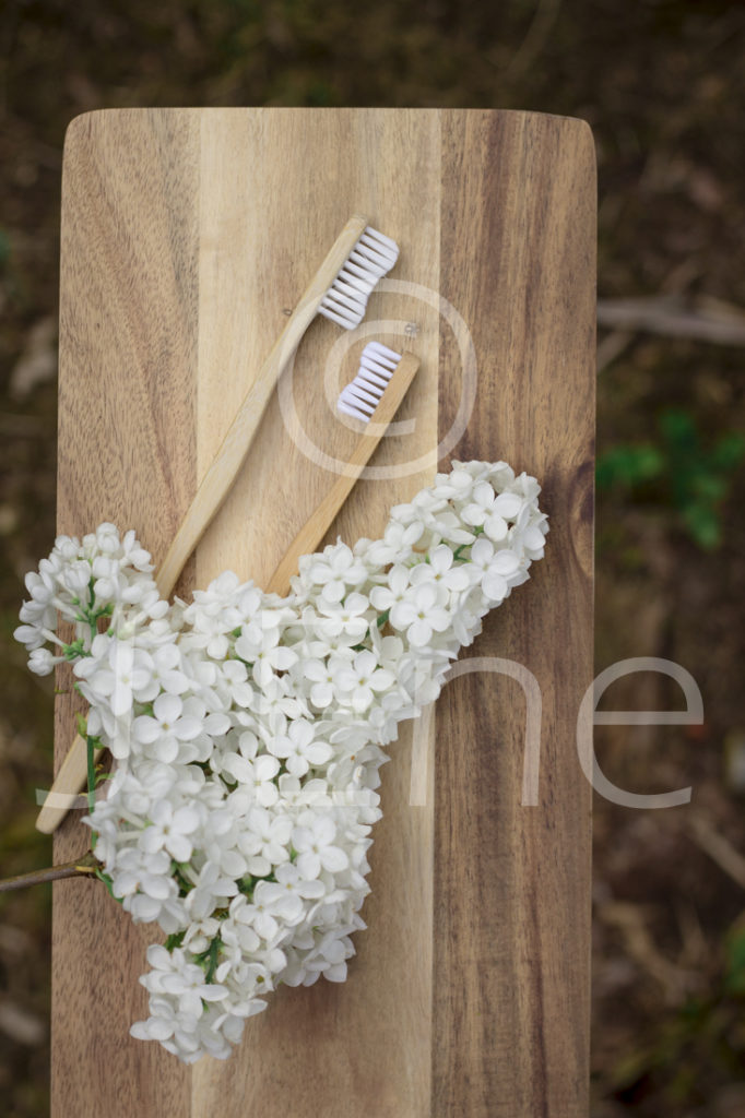 Tandborstar i bambu med vita borststrån tillsammans med en kvist blommande vit syrén på en träbricka.