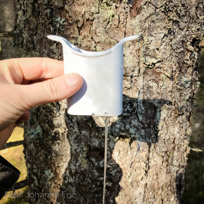 Lungplus för astma och löpning i kyla. Saliv som rinner ur Lungplus.