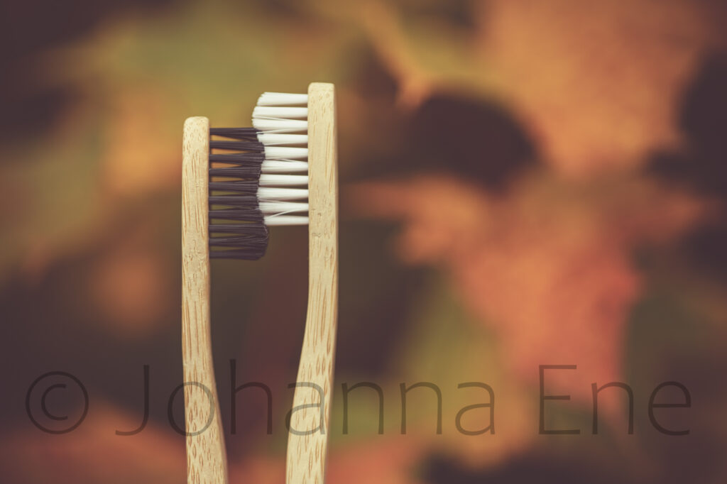 Höstmotiv med tandborstar i bambu. Foto Johanna Ene 2021.