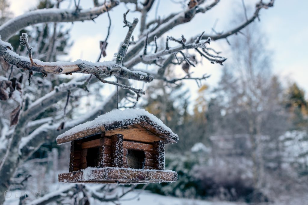 Fågelmatare i form av liten stuga i trä. Vinter och snö. Foto Johanna Ene 2021.